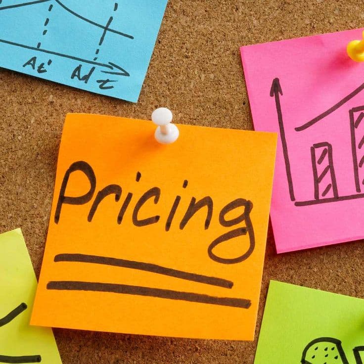 How much does custom software cost in Kenya?